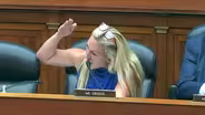 House hearing erupts in chaos after personal comments