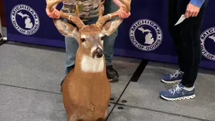 Big Buck Night West