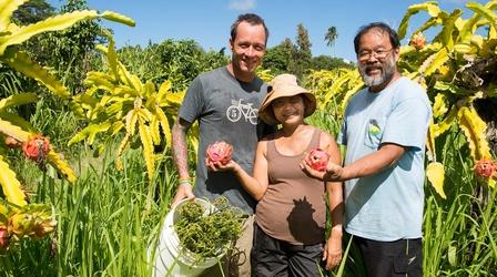 Video thumbnail: Family Ingredients Ueunten Foraging