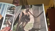Karen Cotton: K9 Deputy Heroes, Part 2