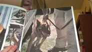 Karen Cotton: K9 Deputy Heroes, Part 2