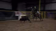 Yellow Jacket Rodeo