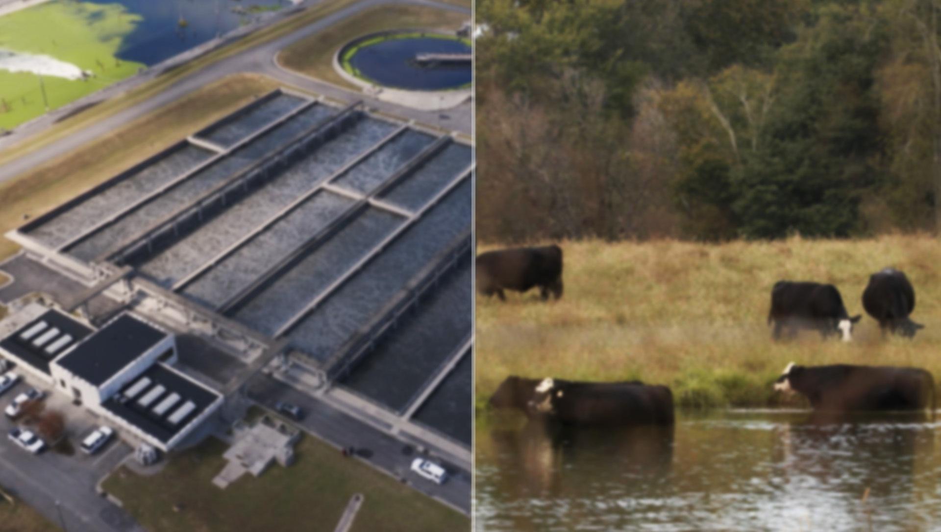 How PFAS chemicals once used in carpets ended up in the water and environment in the South.