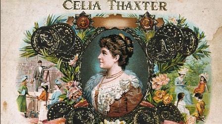 Video thumbnail: Made Here Celia Thaxter's Island Garden