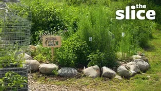 Master Gardeners Built a Giving Garden in Northern Minnesota