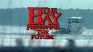 The Bay: Preserving The Future