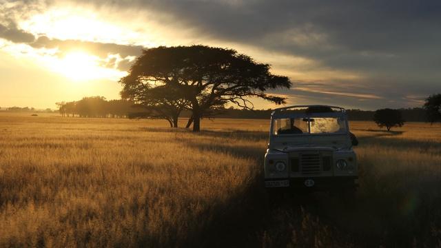 Nature | The Serengeti Rules