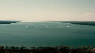 Bloom Part 2: “If a Man Owns Land, the Land Owns Him”