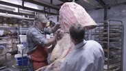 The Cow to the Cuts