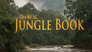 The Real Jungle Book