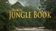 The Real Jungle Book