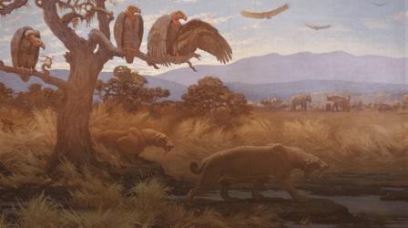 Video thumbnail: Eons How Plate Tectonics Transformed Los Angeles