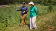 Meadow Habitat for Birds