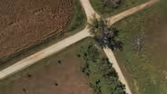 Tree in the Middle of the Road