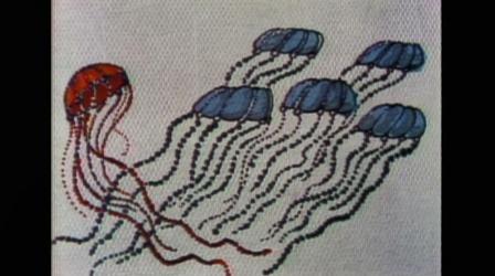 Video thumbnail: MPT Classics Hodgepodge Lodge: "Animals without Backbones"