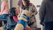 Canine Companions