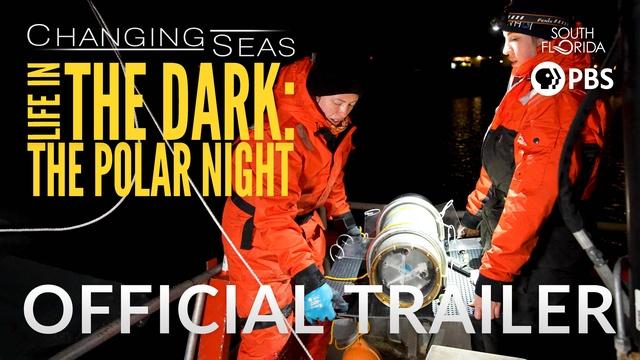 Life in The Dark: The Polar Night  | Changing Seas | Preview
