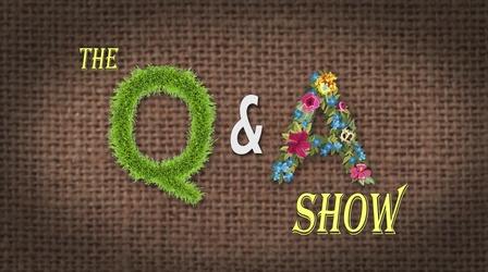 Video thumbnail: The Family Plot Q&A Show