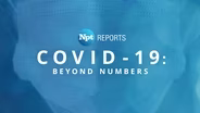 COVID-19, Beyond Numbers | NPT Reports