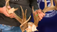 Big Buck Night East