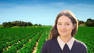 What is Regenerative Agriculture?