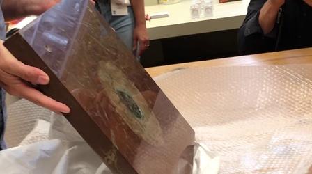 Video thumbnail: Chicago Tonight New Field Museum Meteorites Collection