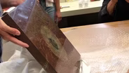 New Field Museum Meteorites Collection