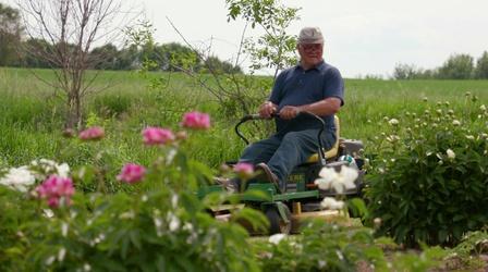Video thumbnail: Wisconsin Life Peony Farm