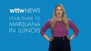 Your Guide to Marijuana in Illinois