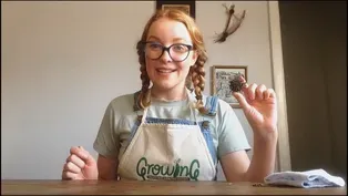 Seeds on the Move