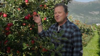 Treasures of Western Norway
