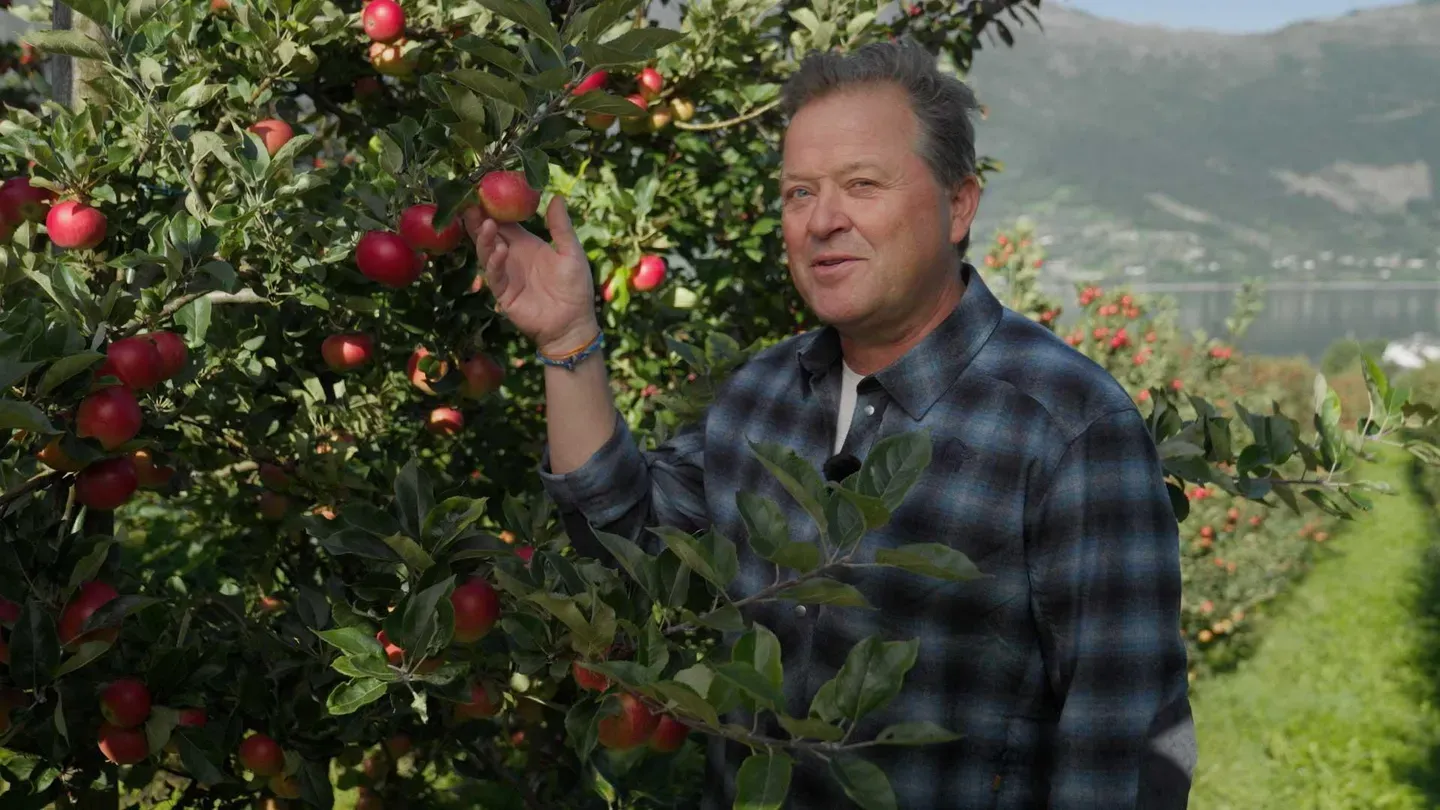 Treasures of Western Norway