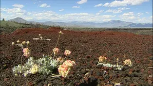 Idaho Ecosystems Video Short