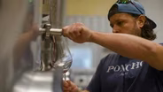 Culinary Roots