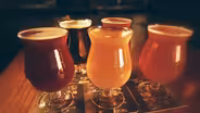 Mountain Town Brewing Company
