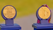 Appraisal: 1994 Maya Angelou Spingarn Awards