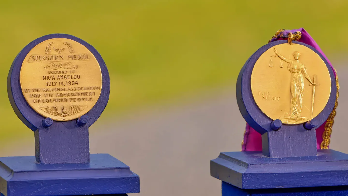 Appraisal: 1994 Maya Angelou Spingarn Awards