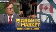 Canada Tariff Fight, $10 Billion in Farm Aid and a Cattle Market Squeeze - July 24, 2026