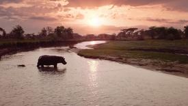 Preview of Katavi: Africa's Fallen Paradise: Salvation: asset-mezzanine-16x9