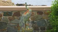 Jay Leno: Contemporary Custom Mermaid Weathervane & Peacock