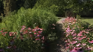 Backyard Farmer:  Gilman Arboretum and Snake Protocol
