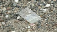 Green Seeker: Plastic Pollution