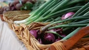 Harvesting Change Market and Panel Discussion
