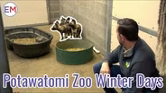 Potawatomi Zoo Winter Days