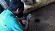 In Thailand, tracking animal health to prevent human disease