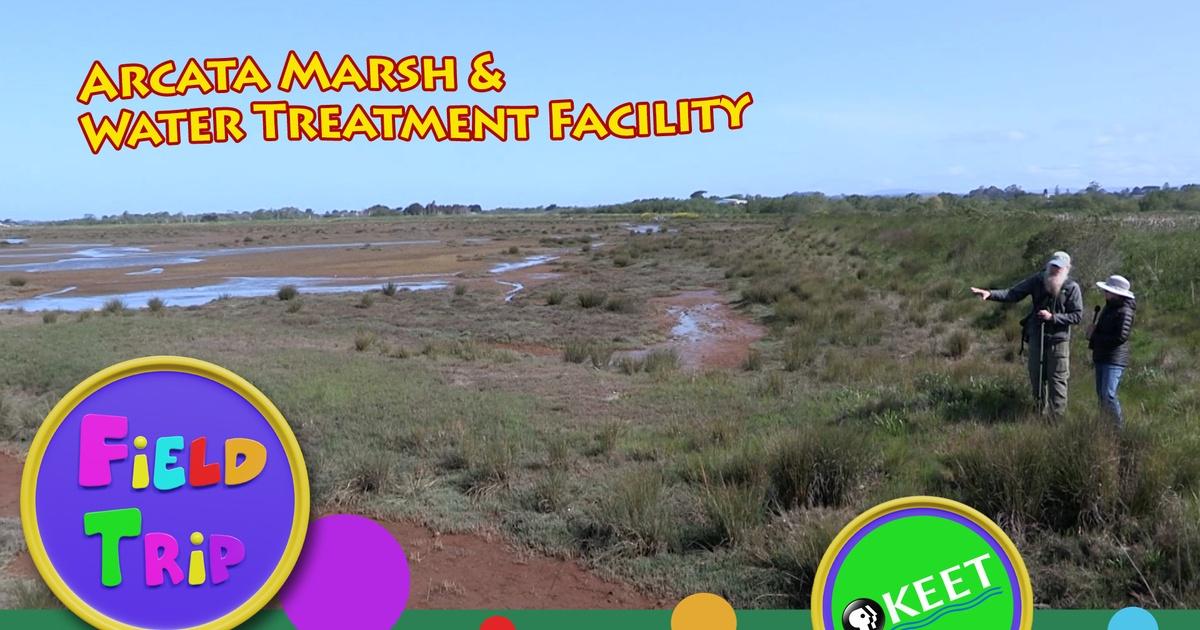 Field Trip | Arcata Marsh & Water Treatment Facility | PBS