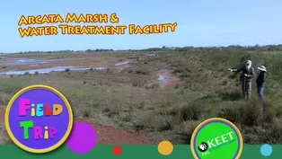 Arcata Marsh & Water Treatment Facility