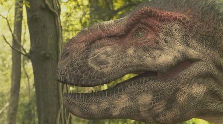 Video thumbnail: NOVA Dinosaur Apocalypse: The New Evidence