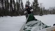 Dogsledding
