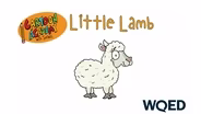 Little Lamb